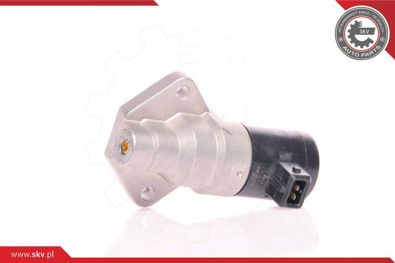 ESEN SKV Ventil za reguliranje praznog hoda, napajanje zrakom