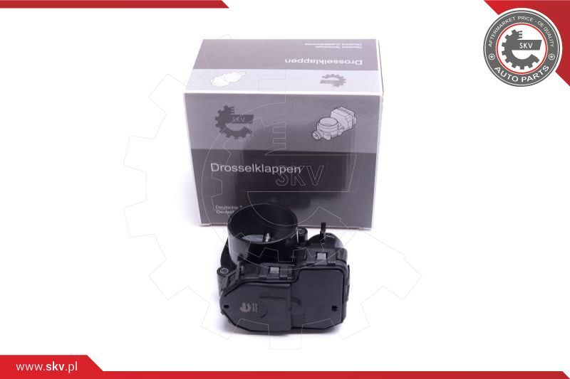 ESEN SKV Klapna gasa