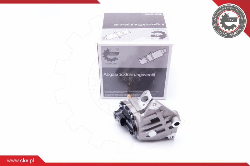 ESEN SKV EGR ventil