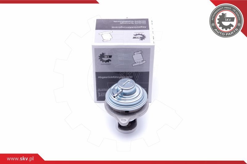 ESEN SKV AGR-ventil
