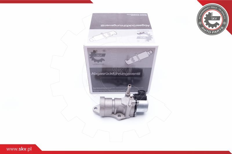ESEN SKV EGR ventil