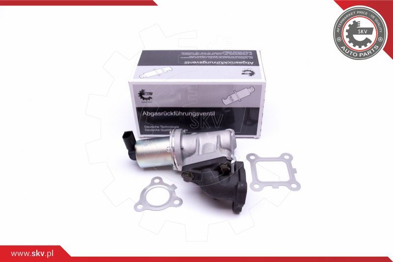ESEN SKV EGR ventil
