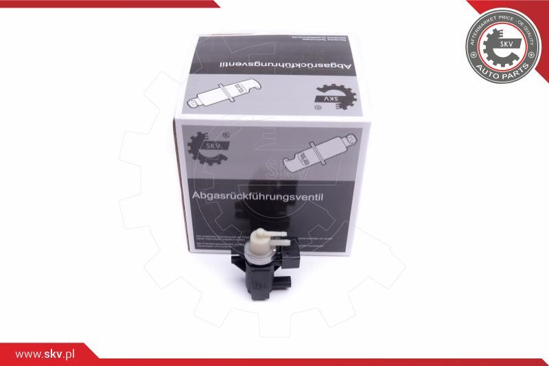 ESEN SKV Pretvarač tlaka, turbopunjač