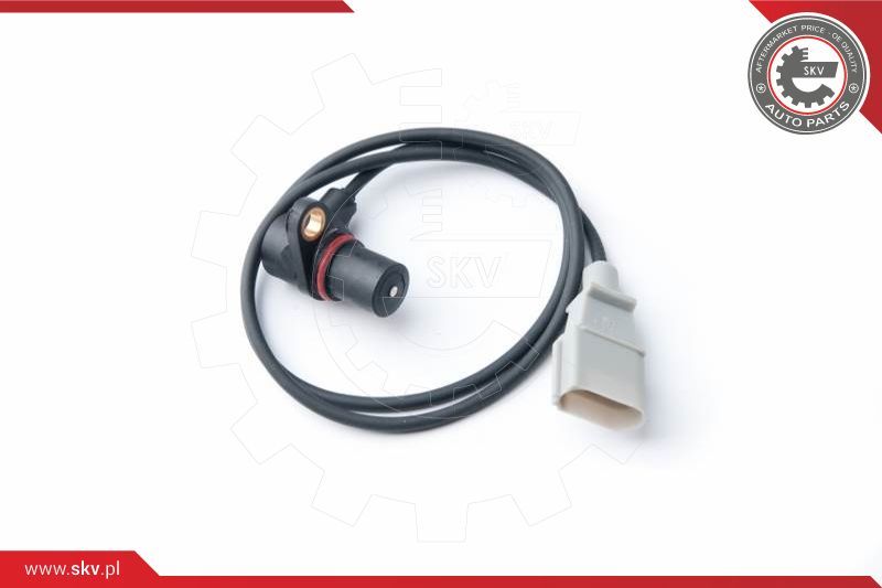 ESEN SKV Davač impulsa, radilica