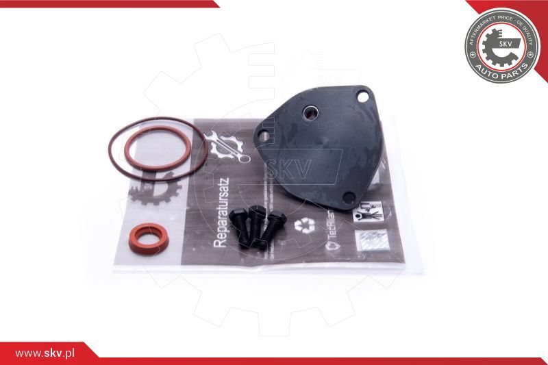 ESEN SKV Komplet za popravak, podtlačna pumpa (kočni sustav)