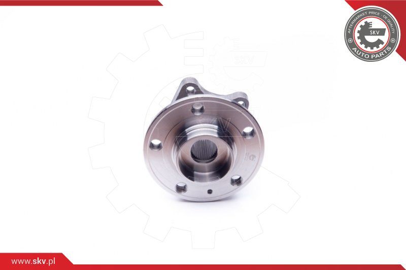 ESEN SKV Komplet ležaja kotača