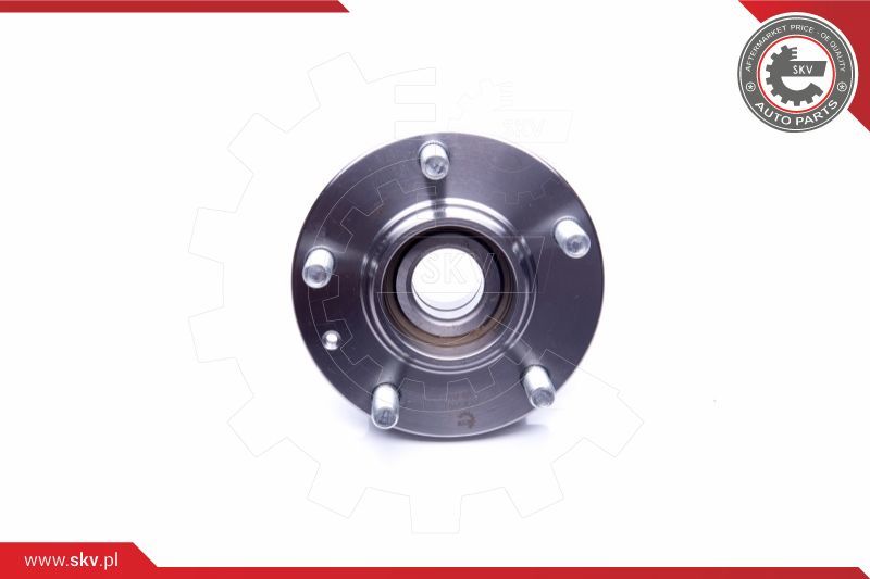 ESEN SKV Komplet ležaja kotača