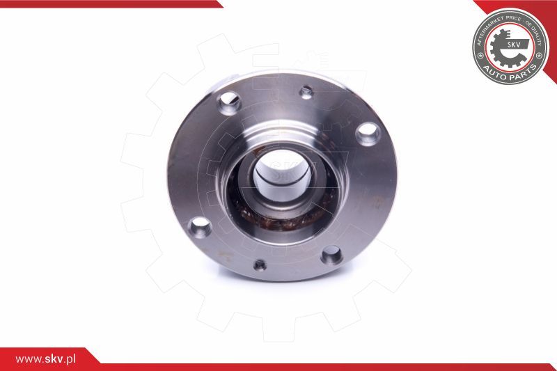 ESEN SKV Komplet ležaja kotača