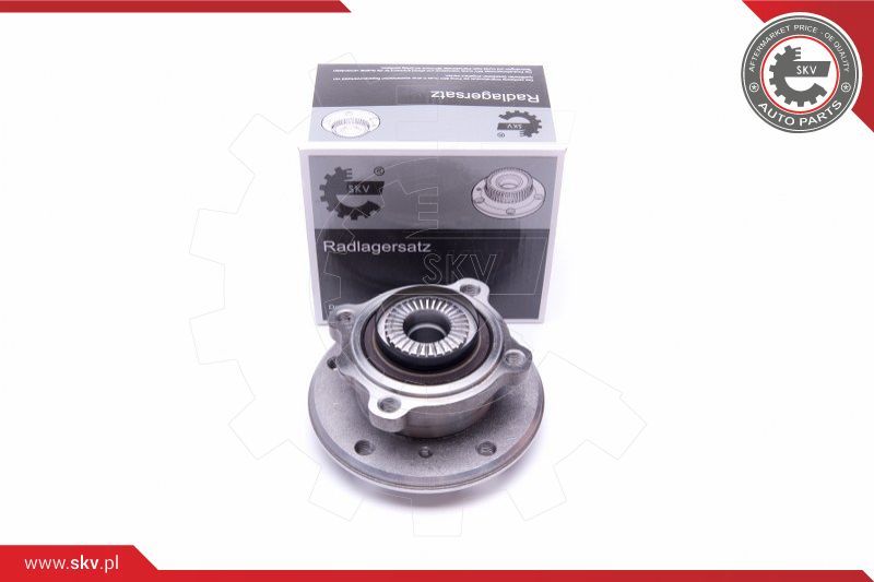 ESEN SKV Garnitura ležaja kotača