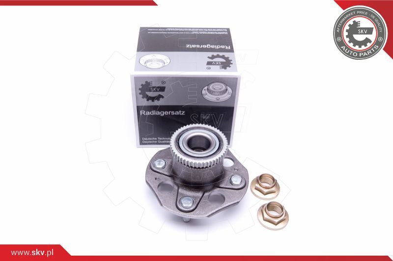 ESEN SKV Garnitura ležaja kotača