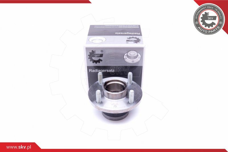 ESEN SKV Garnitura ležaja kotača
