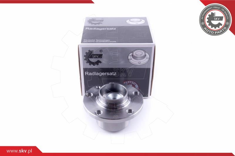 ESEN SKV Garnitura ležaja kotača