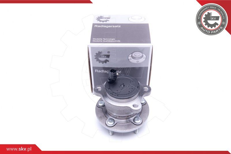 ESEN SKV Garnitura ležaja kotača