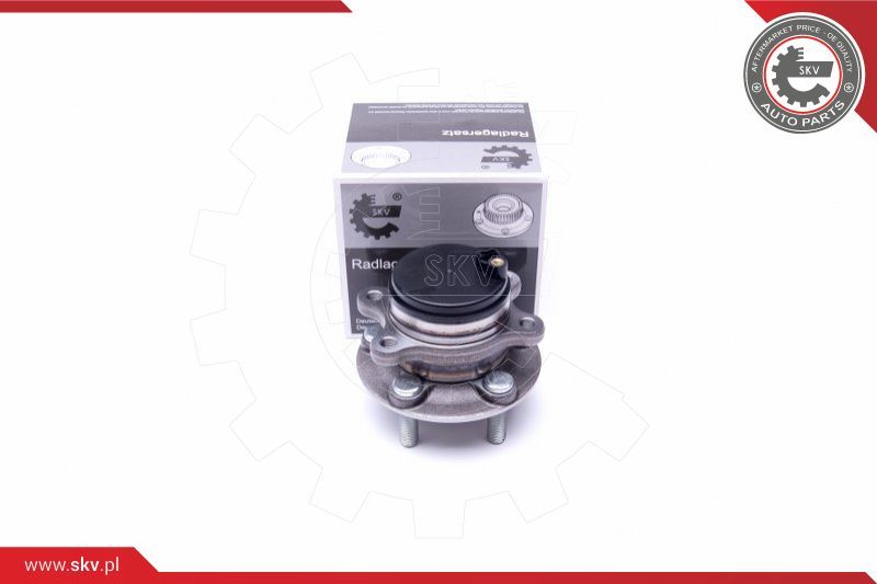 ESEN SKV Garnitura ležaja kotača