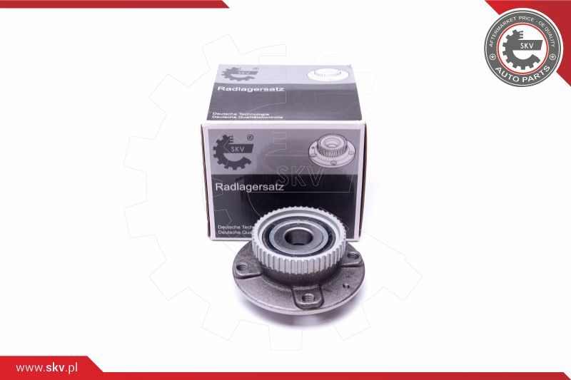 ESEN SKV Garnitura ležaja kotača