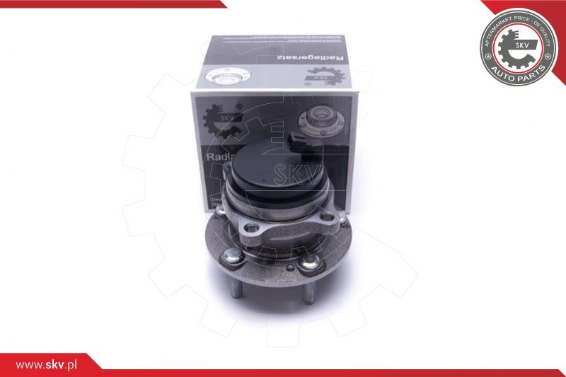 ESEN SKV Garnitura ležaja kotača