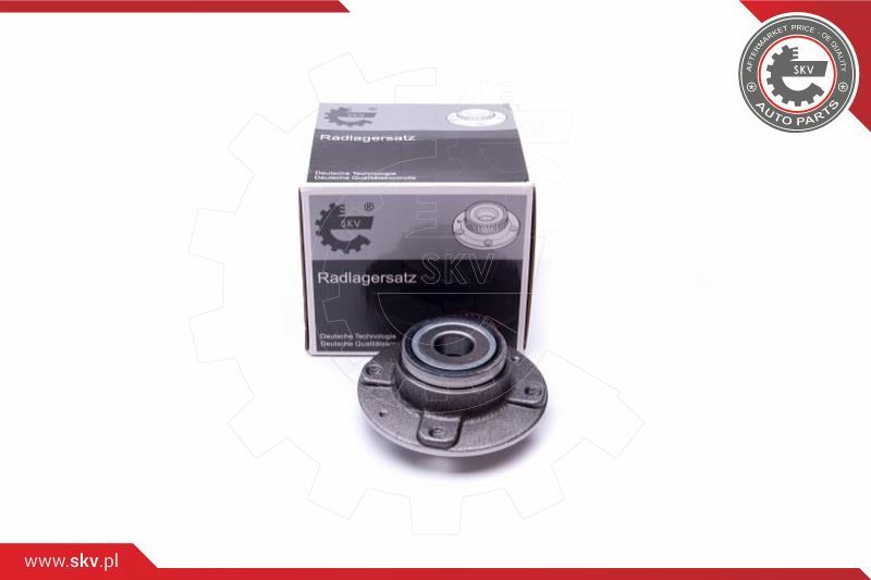 ESEN SKV Garnitura ležaja kotača