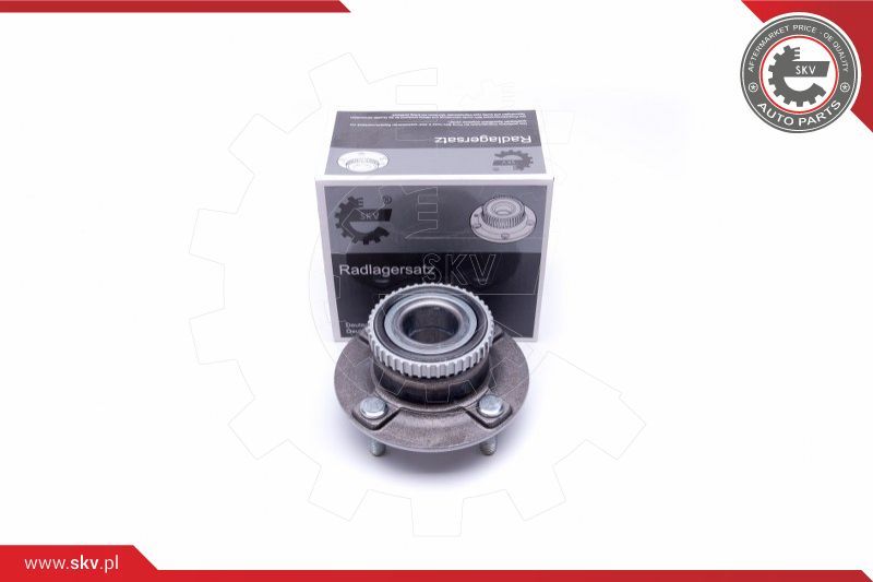 ESEN SKV Garnitura ležaja kotača