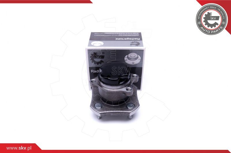 ESEN SKV Garnitura ležaja kotača