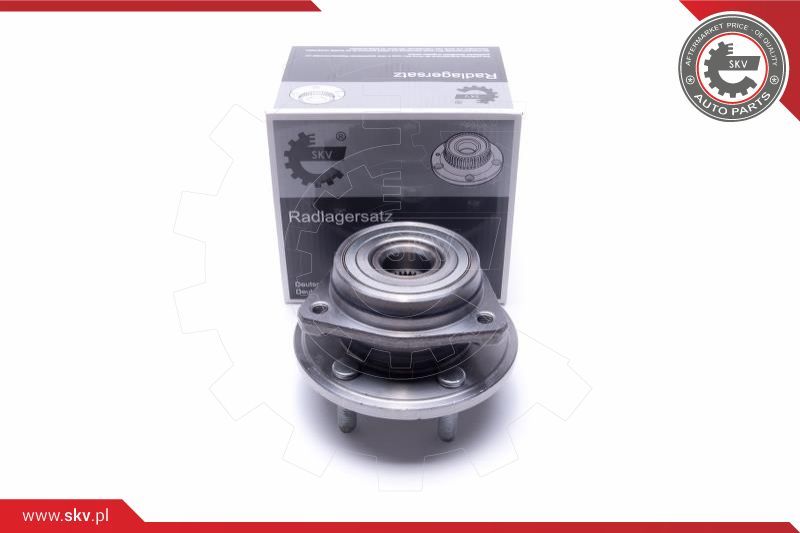 ESEN SKV Garnitura ležaja kotača