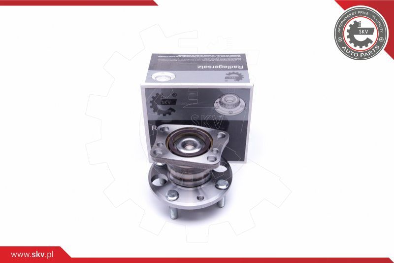 ESEN SKV Garnitura ležaja kotača