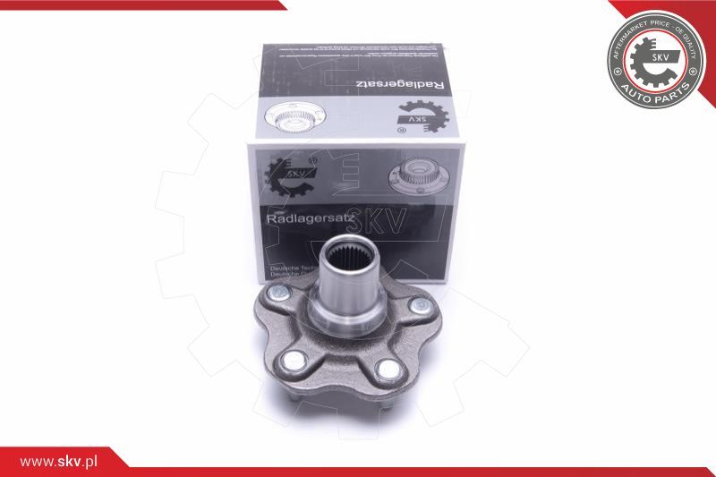 ESEN SKV Garnitura ležaja kotača