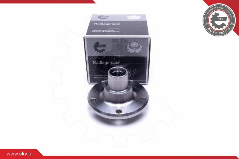 ESEN SKV Garnitura ležaja kotača