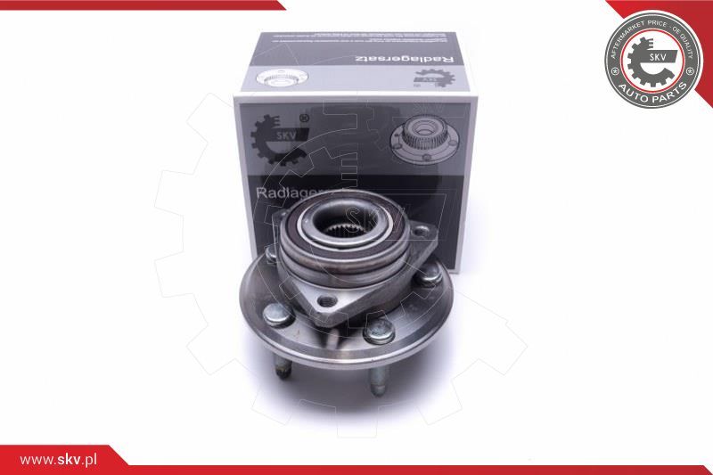 ESEN SKV Garnitura ležaja kotača