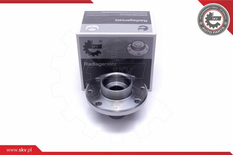 ESEN SKV Garnitura ležaja kotača