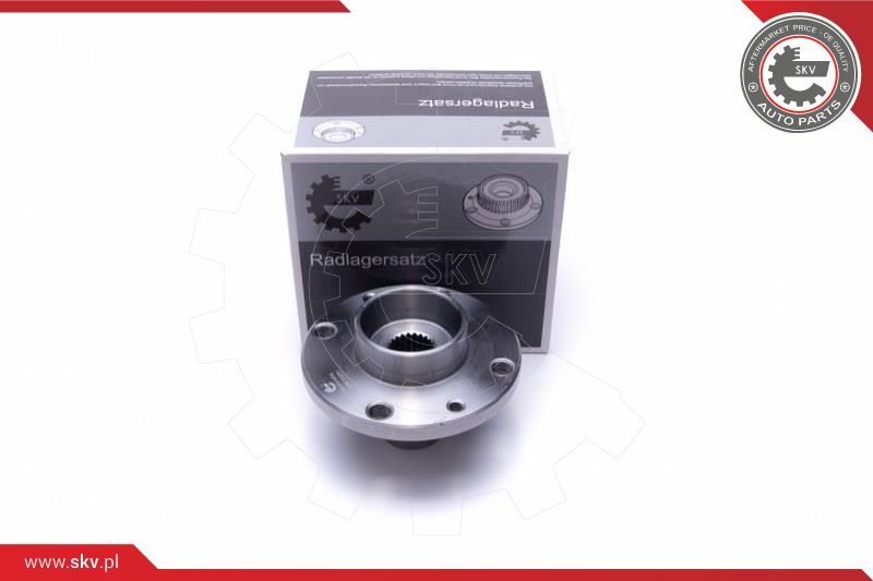ESEN SKV Garnitura ležaja kotača