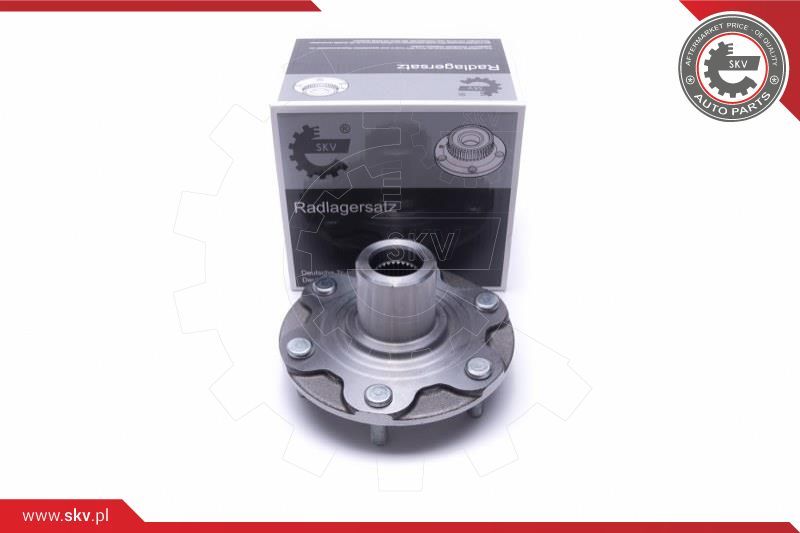 ESEN SKV Garnitura ležaja kotača