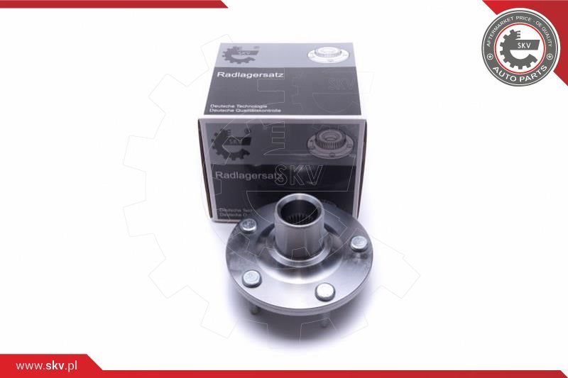 ESEN SKV Garnitura ležaja kotača