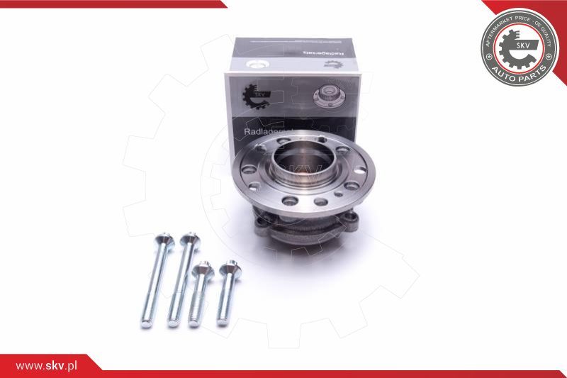 ESEN SKV Garnitura ležaja kotača