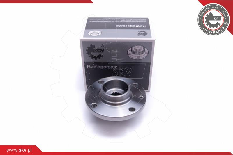 ESEN SKV Garnitura ležaja kotača