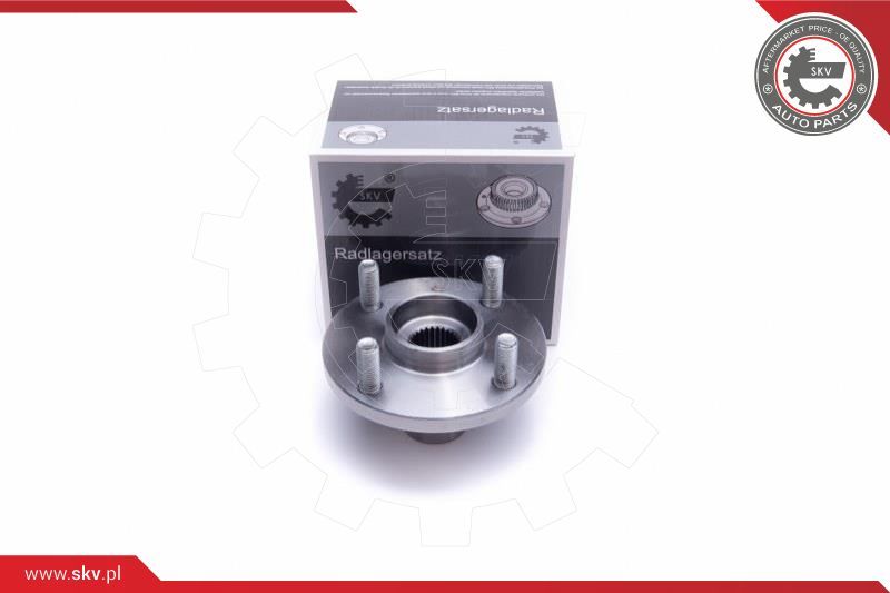 ESEN SKV Garnitura ležaja kotača