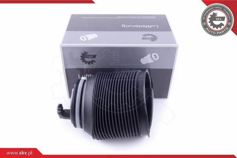 ESEN SKV Zračno ogibljenje, vozni postroj