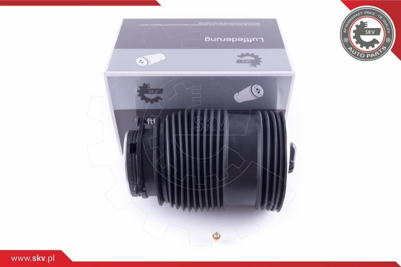 ESEN SKV Zračno ogibljenje, vozni postroj