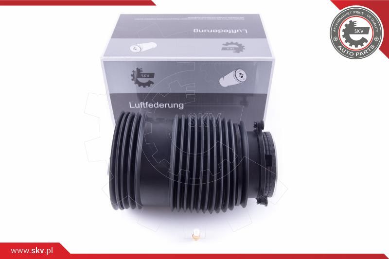 ESEN SKV Zračno ogibljenje, vozni postroj