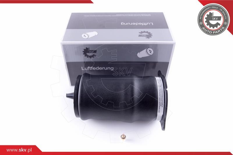 ESEN SKV Zračno ogibljenje, vozni postroj