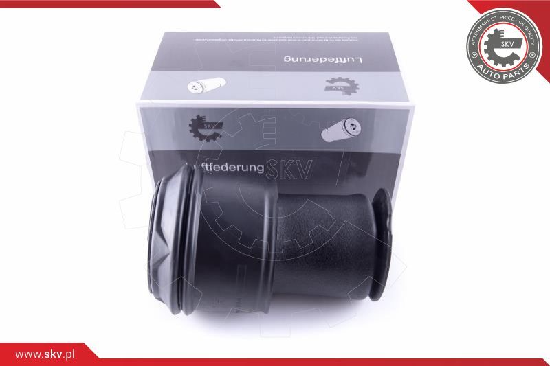 ESEN SKV Zračno ogibljenje, vozni postroj