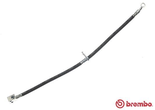 BREMBO Kočiono crijevo