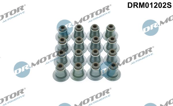 Dr.Motor Automotive Komplet brtvi, vreteno ventila