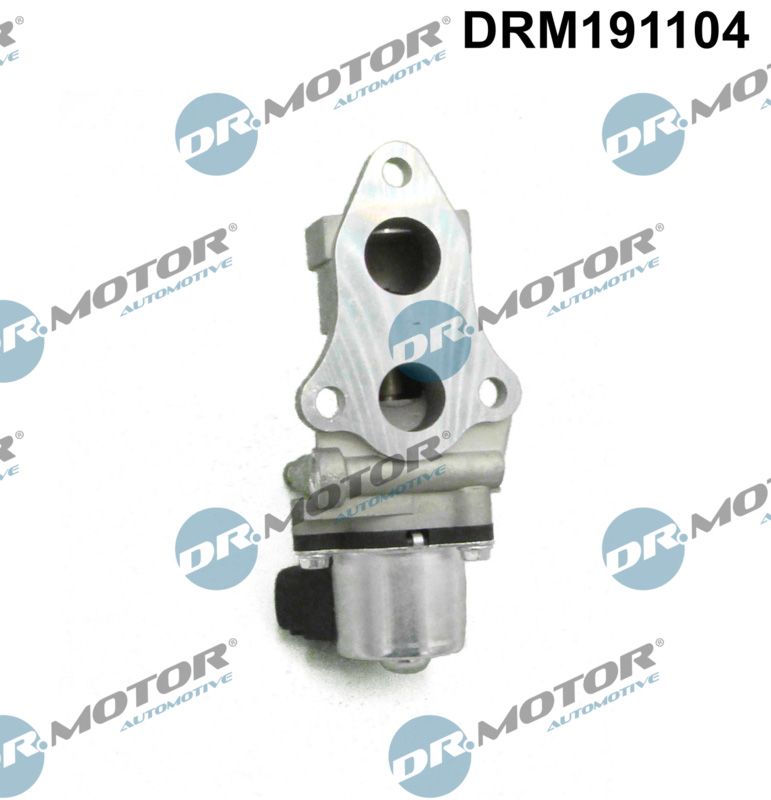 Dr.Motor Automotive EGR ventil
