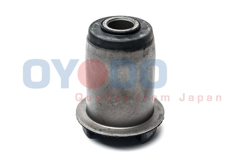 OYODO Uležištenje, upravljač