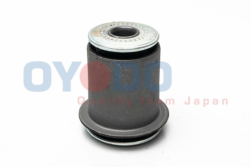 OYODO Uležištenje, upravljač