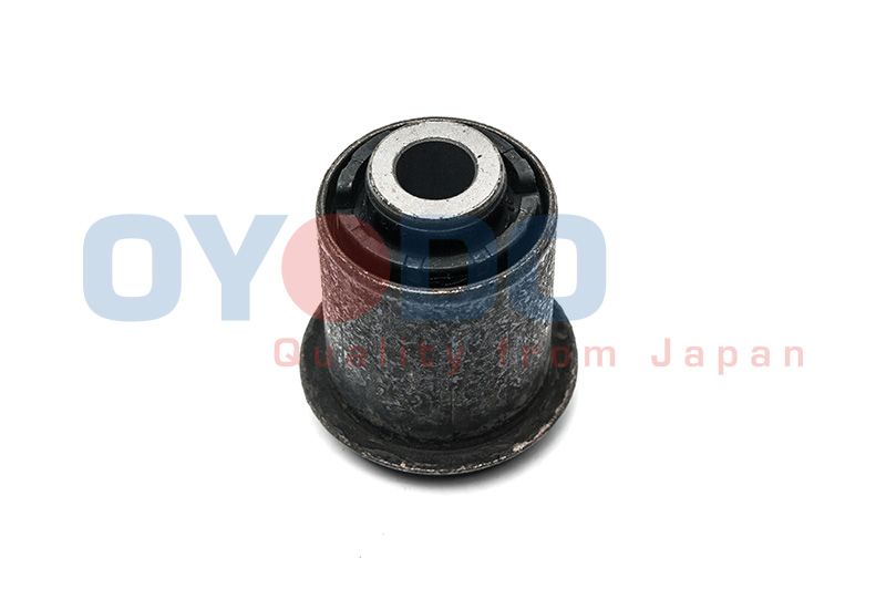 OYODO Uležištenje, upravljač