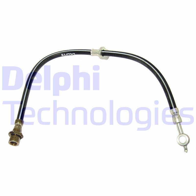 DELPHI Kočiono crijevo