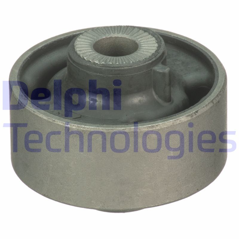 DELPHI Uležištenje, spona