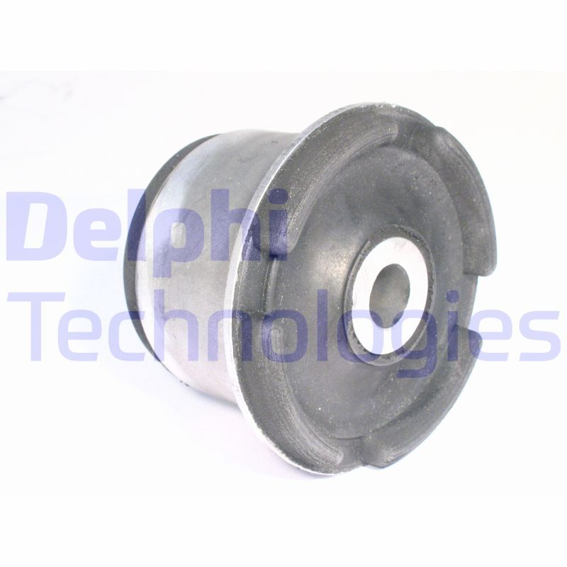 DELPHI Uležištenje, tijelo osovine