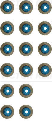 VICTOR REINZ Komplet brtvi, tijelo ventila